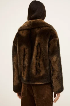 FOXY